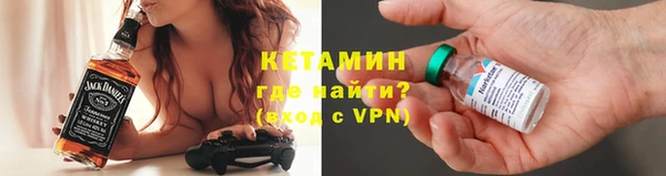 гашик Няндома
