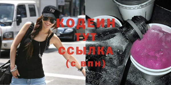 гашик Няндома