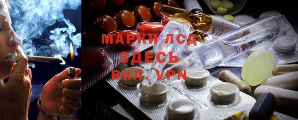 гашик Няндома