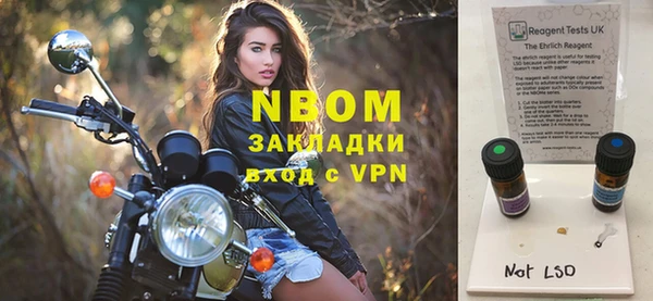 гашик Няндома