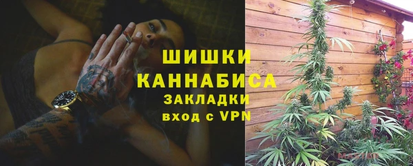 гашик Няндома