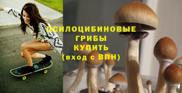 гашик Няндома