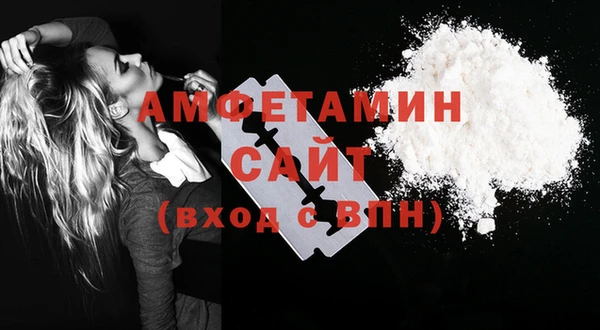 молекула духа Бердск