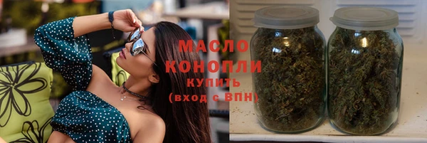 молекула духа Бердск