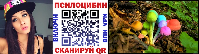 Галлюциногенные грибы Psilocybe  продажа наркотиков  Миллерово 