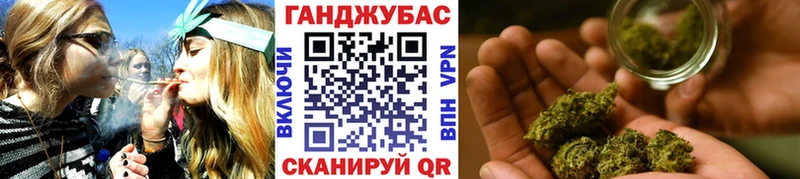 Каннабис сатива Миллерово